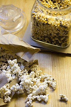 brownbag-popcorn1S.jpg