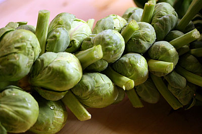 brussels_sprouts_2S.jpg