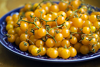 currant-tomato_1S.jpg