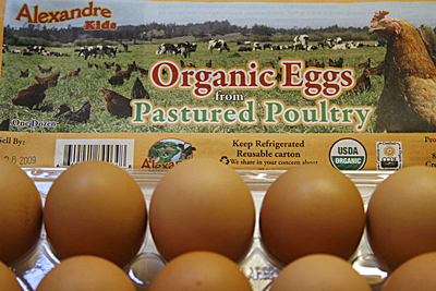 eggs-pastured_1S.jpg