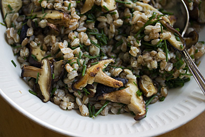 farro-shitake1S.jpg