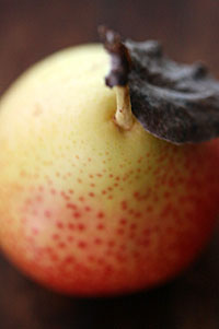 forelle_pears_ 10S.jpg