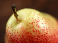 forelle_pears_ 12S.jpg