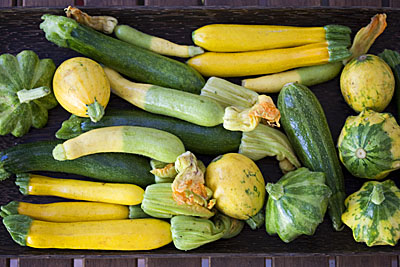 muitas-abobrinhas1S.jpg
