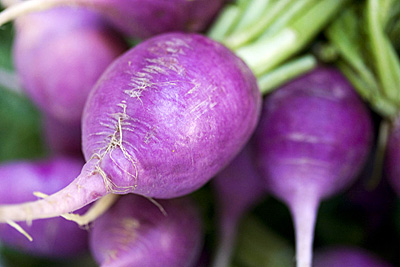 rabanete_roxo_2S.jpg