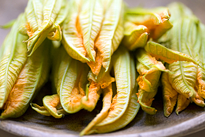 zucchini_blossom_1S.jpg