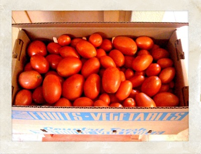 10q-tomates_1.jpg