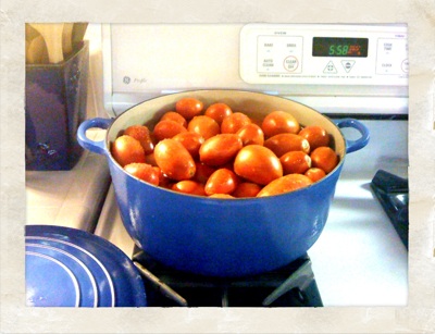 10q-tomates_2.jpg