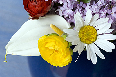 bouquet-azul_4S.jpg