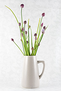 chives-composite_1S.jpg