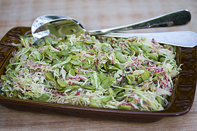 fava-slaw_1S.jpg