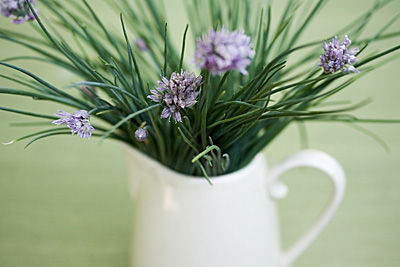 flower-chives_1S.jpg