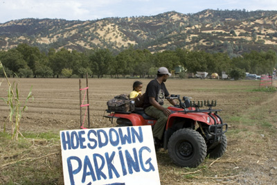 hoes down fall festival