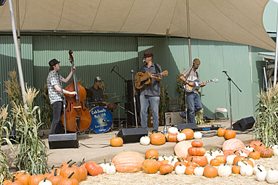 hoes down fall festival