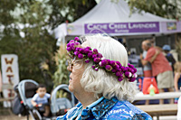 hoes down fall festival