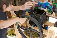 hoes down fall festival