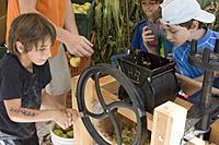 hoes down fall festival