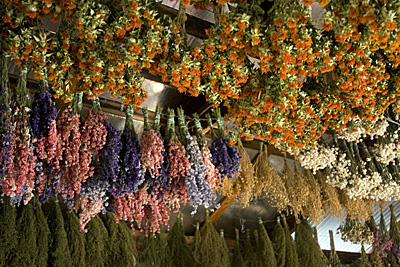 hoes down fall festival