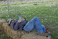 hoes down fall festival