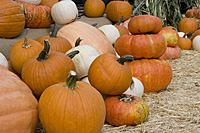 hoes down fall festival