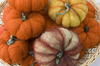 hoes down fall festival