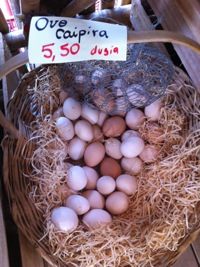 Quitanda Entre Verde