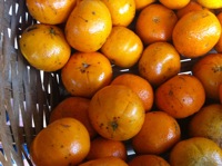 Quitanda Entre Verde