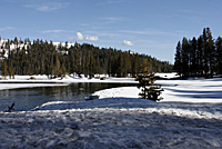 Murphys-Calaveras county