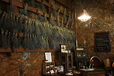 Murphys-Calaveras county