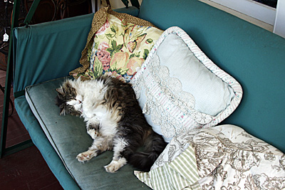 Murphys-Calaveras county