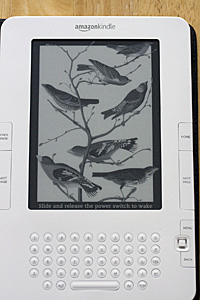 my-kindle_2S.jpg