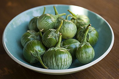 thai-eggplant_1S.jpg