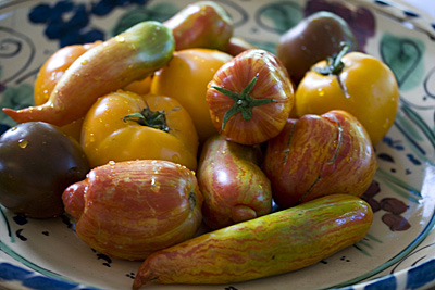 tomates-lindos_1S.jpg