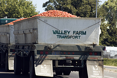 tomato-truck_2S.jpg