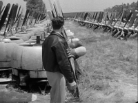 The Best Years of Our Lives