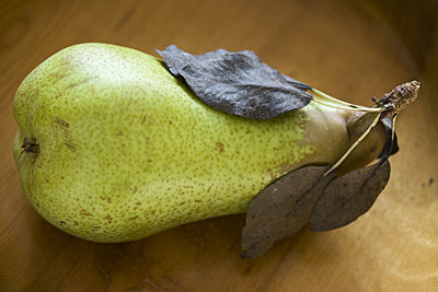 fetel-pear1S.jpg