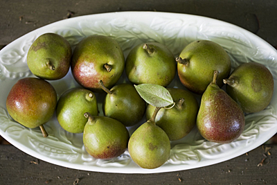 seckel-pear_1S.jpg