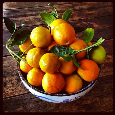 citrus-time2.jpg