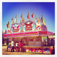 at the county fair