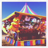 at the county fair