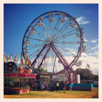 at the county fair