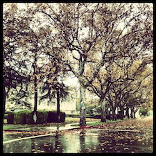 fall-rain