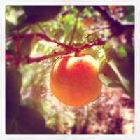 mais fotos dessa semana