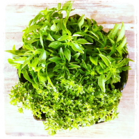 mais fotos dessa semana