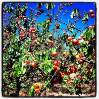 mais fotos dessa semana