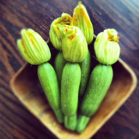 mais fotos dessa semana