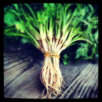 mais fotos dessa semana