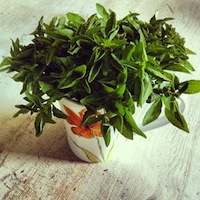 mais fotos dessa semana