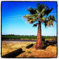 mais fotos dessa semana