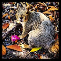 mais fotos dessa semana